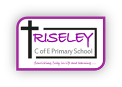 Riseley CofE Primary School